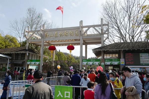 2021紅山動物園認養多少錢 南京紅山動物園認養流程及游玩指南