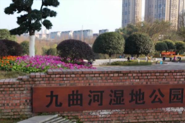 重慶九曲河濕地公園春季賞花攻略 重慶賞花好去處