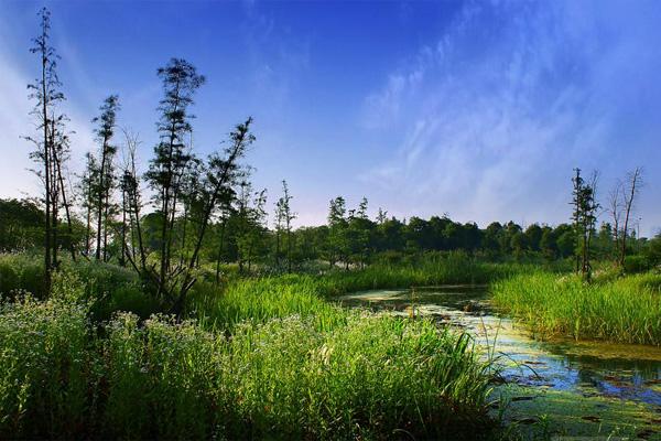 2023镜湖国家湿地公园旅游攻略 - 门票 - 交通 - 天气