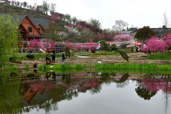 2021四季贵州景区泉美樱花节有什么好玩的项目