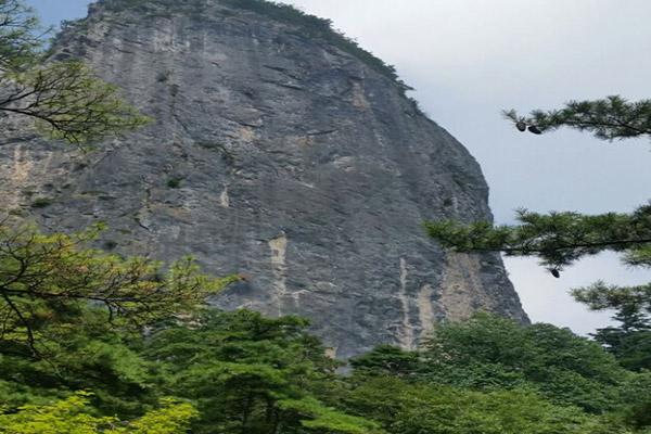 陕西天竺山国家森林公园于2021年3月3日起恢复开园