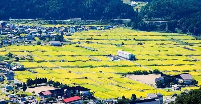 日本的农村怎么样子的 日本的农村生活现实