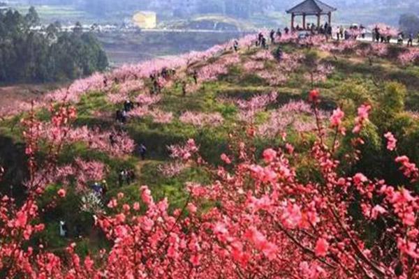 2021重慶永川圣水湖桃花島三八節(jié)門票免費活動