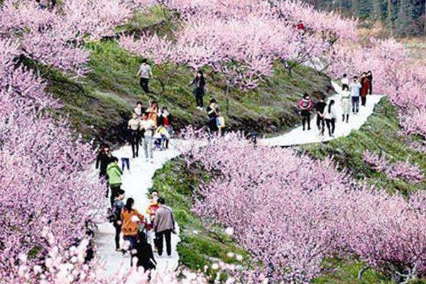 2021重庆永川圣水湖桃花岛三八节门票免费活动