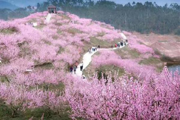 2021重慶永川圣水湖桃花島三八節(jié)門票免費活動