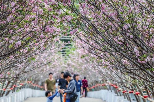 2021深圳观澜湖大地生态艺术园三八节活动盘点