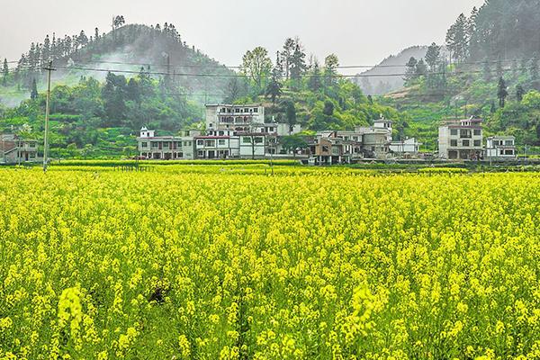 2021贵州金海雪山景区女神节活动有哪些