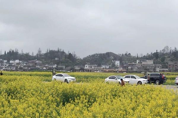 2021贵州金海雪山景区女神节活动有哪些