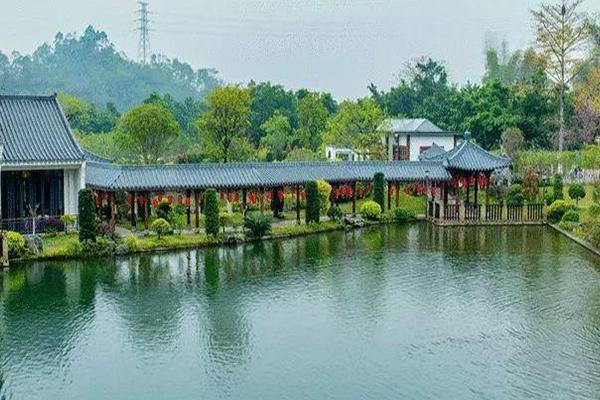 2021重庆忠县灌湖水乡菜花节攻略-时间地点及路线