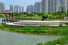 天津清明节去哪里玩好 天津适合清明节踏青的公园推荐2021