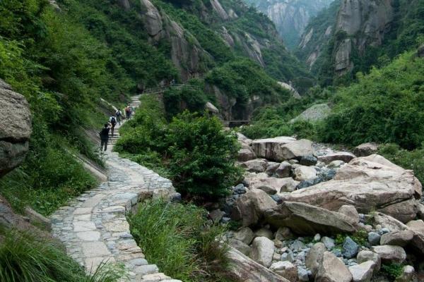 上海绿道徒步路线有哪些 上海绿道徒步路线推荐