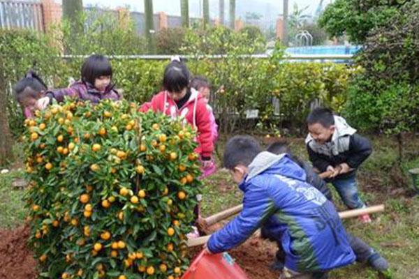 2021济南植物园植树节活动-活动流程及注意事项