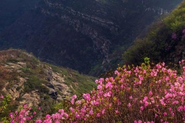 3月國內旅游最佳去處 賞花踏青旅游地推薦