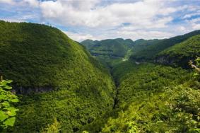 天井峡地缝游玩攻略-门票价格-景点信息