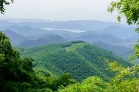 莫干山春季游玩 莫干山赏春攻略