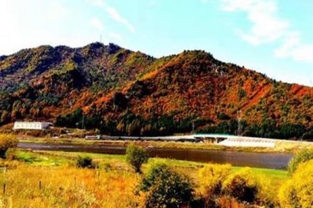 2022绥化红星自然保护区门票 - 交通 - 地址 - 旅游攻略