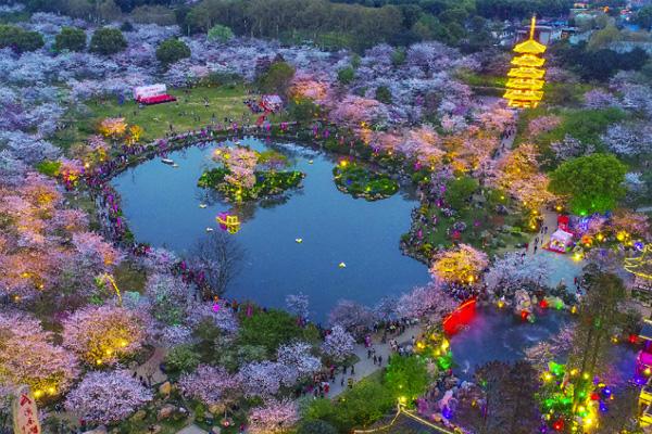 武汉东湖樱花园里的塔叫什么 东湖樱花园交通指南及停车收费标准