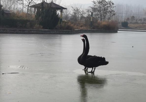 赤水灣湖公園一日游記