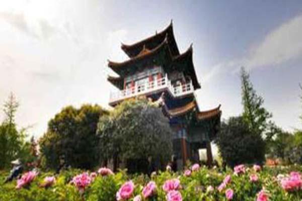 洛阳隋唐城遗址植物园月票卡使用期限-价格及对象