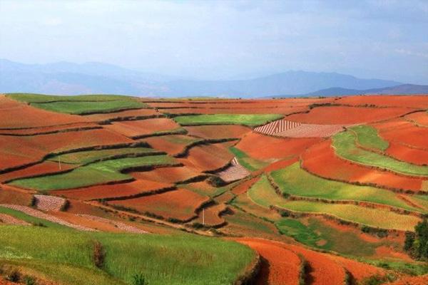 東川紅土地最佳旅游時間是幾月份 附紅土地拍攝攻略