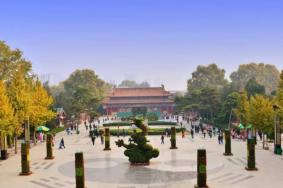 2021汉中王城动物园年票办理时间及费用  洛阳年票卡有哪些景点免费