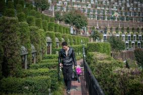 2021广州清明节扫墓可以放烟花爆竹吗 广州清明节扫墓攻略