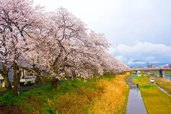 日本景区有哪些景点推荐 2021日本九日游攻略 