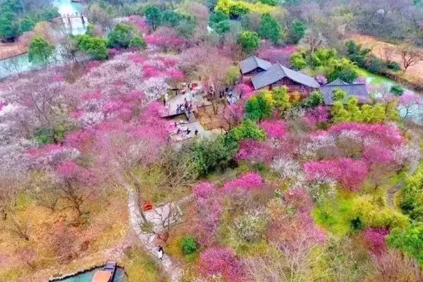 浙江春季旅游最佳去處 2021浙江旅游踏青必去景點