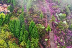 天台旅游攻略一日游