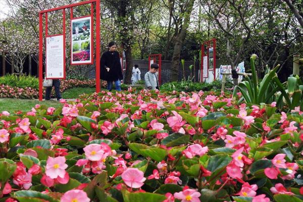 2021成都花朝節(jié)在哪里舉辦 附活動詳情