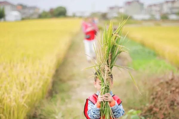 春季親子游2021 上海親子旅游必去景點(diǎn)