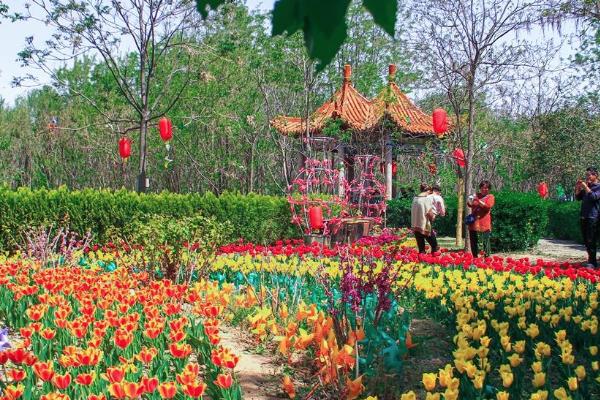 2021郑州人民公园郁金香花展时间-观赏地点