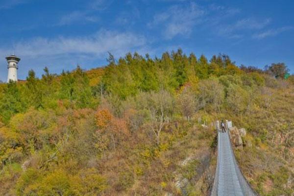 2022街津山國(guó)家森林公園旅游攻略 - 門(mén)票 - 交通 - 地址