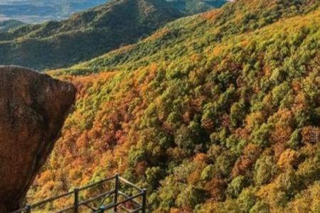 2023朱雀山国家级森林公园旅游攻略 - 门票 - 价格 - 天气