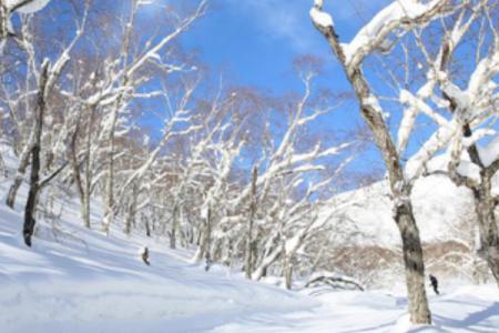 2023长白山天池雪滑雪场旅游攻略 - 门票 - 交通 - 天气