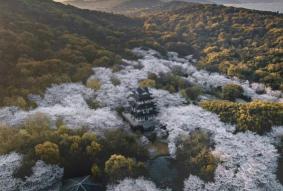 2021年4月份值得去玩的景点和地方