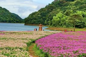 2021广州石门国家森林公园清明节好玩吗-景点介绍以及交通攻略