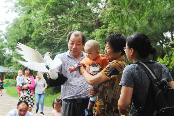 2021贛州森林動物園門票多少錢-游玩攻略