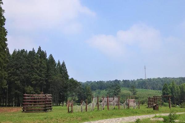 2021南京平山森林公园樱花美食节-时间交通及门票