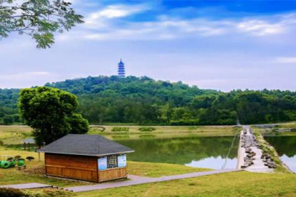 2021南京平山森林公园樱花美食节-时间交通及门票