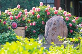 2021王城公园牡丹花会时间-门票多少钱