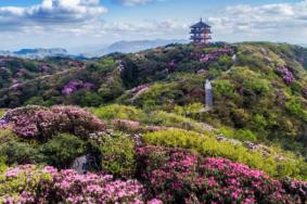 2021重庆五一赏花旅游去哪好-赏花地点推荐