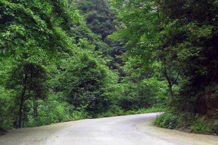 2023舜皇山国家森林公园旅游攻略 - 门票价格 - 开放时间 - 景点介绍 - 简介 - 交通 - 地址 - 电话 - 天气