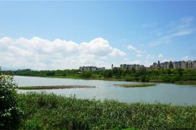 深圳華僑城濕地公園游玩攻略-門票價格-景點信息