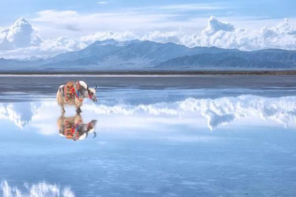 2021茶卡盐湖景区项目收费标准-最佳旅游时间