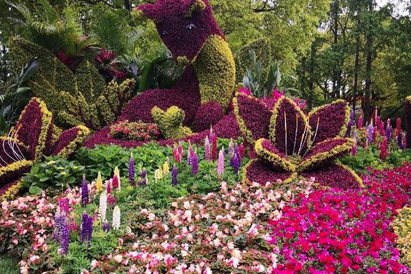 2021上海植物园花展时间-门票-看点