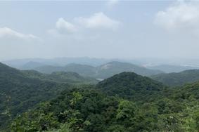 王子山森林公園旅游攻略-門票價格-景點信息