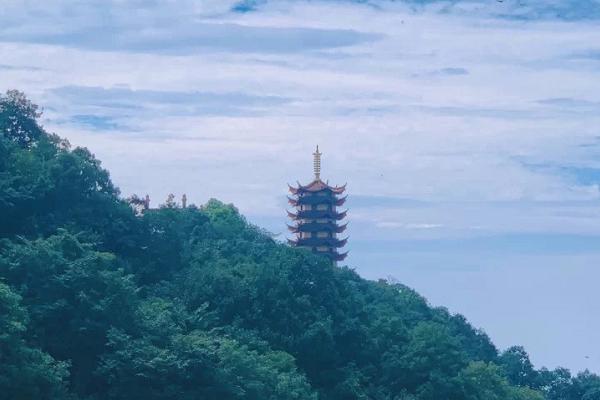 2021绍兴赏花登山胜天 绍兴登山好往背