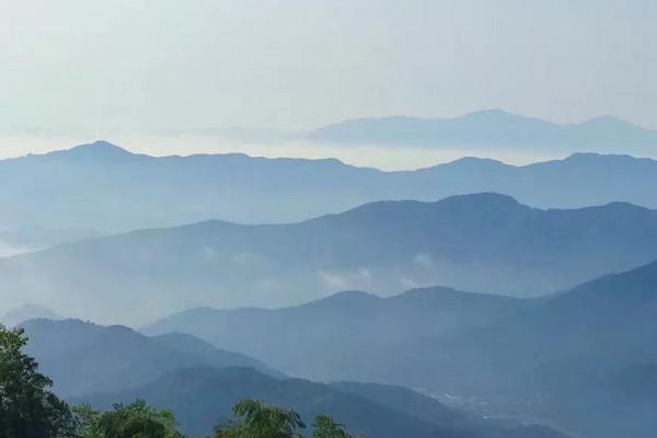 2021紹興賞花登山勝地 紹興登山好去處