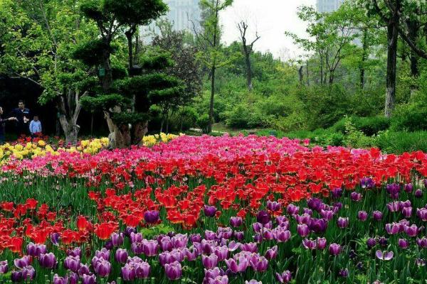 2021汉中植物园开园试运营门票政策
